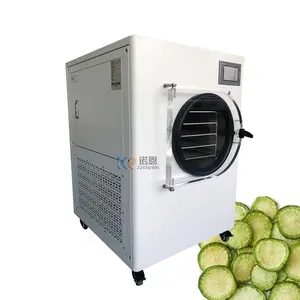 Home Use 20Kg High Productivity Food Grade Automatic Cryogenic Mini Fruit Food Vegetable Vacuum Freeze Dryers With Scroll Pump