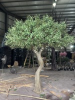 Árbol de Olivo Artificial Grande, Hecho a Mano, de 5.5 Metros de Alto y 4.5 Metros de Ancho, Siempre Verde, para Decoración Interior de Hogares, Restaurantes y Hoteles
