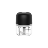 Hachoir et batteur à ail portatif mini en acier inoxydable avec recharge USB