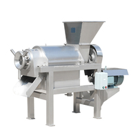 Commerciële Papaja Sinaasappelsap Passievrucht Pulp Perssap Productie Commerciële Machine Om Vruchtensap Te Maken