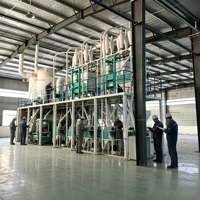 Usine de mouture de blé à haute efficacité 30T, faible consommation d'énergie, ligne de production de farine industrielle