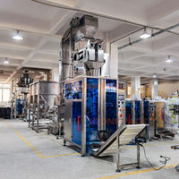 Automatische verticale verpakkingsmachine voor ijsblokjes 1kg-10kg vullen, wegen, sealen en verpakken