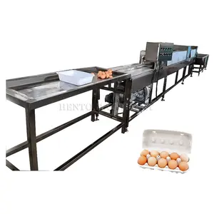 China Manufacturer Chicken Egg Cleaning Machine / Egg Washing Machine Automatic / Egg Washer Dryer