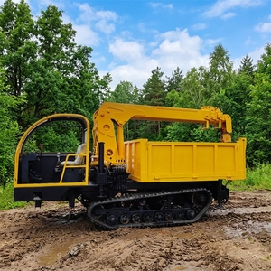 Compact 3 Ton Crawler Mounted <b>Crane</b> All Terrain Hydraulic Equipment - Product Image 3