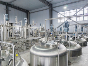 Biorreator de Aço Inoxidável de 1000L com Certificação GMP Padrão da UE, Controle Automático, Origem de Xangai, Modelo BLBIO-1000SJA-4 - Product Image 6