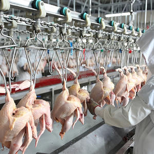 Équipement d'abattoir de volaille en acier efficace 1000 composants de base de ligne d'abattage de poulets de chair avec roulements - Product Image 1
