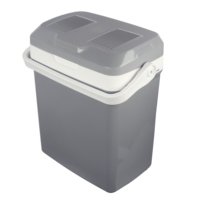 Refroidisseur et Réchauffeur Thermoélectrique Portable Coffre Réfrigérateur De Voiture Réfrigérateur Mini Réfrigérateur 21 Litres