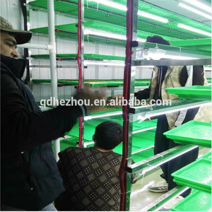 Système de culture de fourrage hydroponique 250kg/jour avec 120 plateaux - Product Image 6