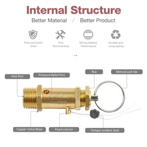Sns chuyên nghiệp Brass van an toàn BV-02 -10 1/4 "Port Thread Kích thước bộ phận khí nén cho 10 bar áp lực - Product Image 4