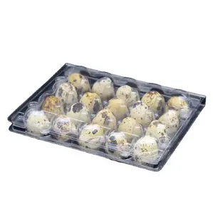 Plastic blister quail egg tray for 6/12/18/24/30 holes