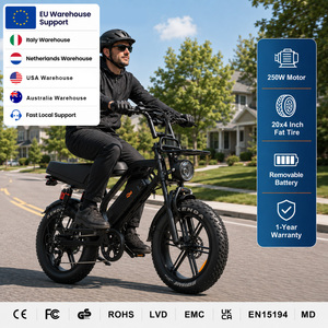 Bicicleta eléctrica urbana QMHEEL V20 Limited 48V con batería de litio, bicicleta de montaña eléctrica, suministro de distribuidores italianos B2B - Product Image 1