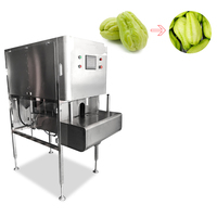 Henan Industriële En Commerciële Mango Schilmachine Fruit-En Groenteschilmachine
