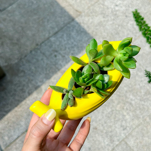 <span class=keywords><strong>Pot</strong></span> de fleurs créatif en résine époxy écologique pour petites plantes succulentes, 0,5 L, pour jardin extérieur, maison, bureau, durable - Product Image 3