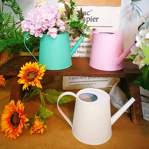<span class=keywords><strong>Arrosoir</strong></span> de croissance de plantes à fleurs de jardin pot de fleur en métal galvanisé rose pour la <span class=keywords><strong>décoration</strong></span> de la maison des enfants - Product Image 2