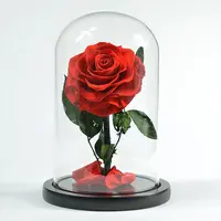 2021 חם אמהות יום מתנות לנצח אלמוות נצחי פרח זכוכית כיפת נצחי ורדים השתמרות עבור אמא אריזת מתנה