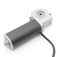 Moteur à engrenage à vis sans fin pour bureau debout réglable en hauteur 12V 24V DC Construction à aimant permanent avec commutation de brosse
