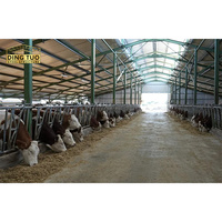 Bâtiment pour Bovins, Ovins, Caprins, Abri pour Bétail, Hangar d'Élevage, Structure en Acier Préfabriquée, Hangar d'Élevage de Vaches et de Chevaux