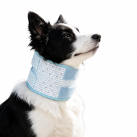 Collier de récupération pour animaux de compagnie en gros – Attelle de cou respirante et réglable anti-léchage post-opératoire – Support de cou personnalisé OEM