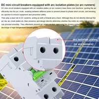Pemutus Sirkuit Mini Tipe L7 DC dengan Pelat Isolasi Busur 10kA Solar MCB 63A 1/2/4 Kutub Pemutus Sirkuit PV untuk Panel Surya