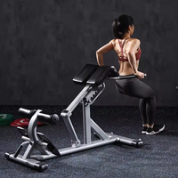 XOYOOU Banc d'hyperextension romain à dossier réglable, machine d'entraînement musculaire pour la musculation à domicile, vente chaude