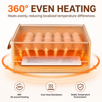 Incubateur à œufs 40 places, double tension 110V/220V, pour l'élevage domestique de poulets, canards, cailles et volailles – Vente en gros