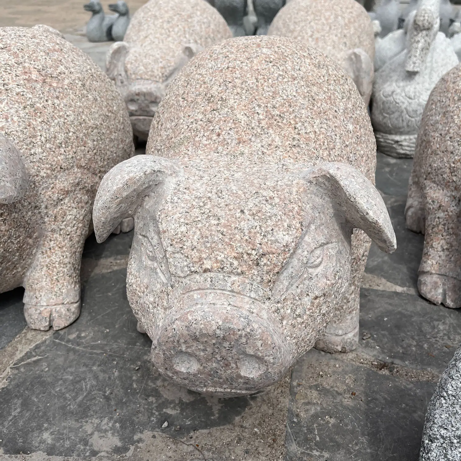 Patung granit taman patung batu patung Babi