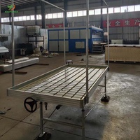 Serre commerciale 4x4 5x5 4x8 avec bancs roulants et bacs de culture, système hydroponique à flux et reflux