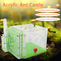 Transparent observable fourmi Eco jardin vivre petit animal Cottage maison fourmi château Eco boîte ferme petit Animal nid fourmi maison