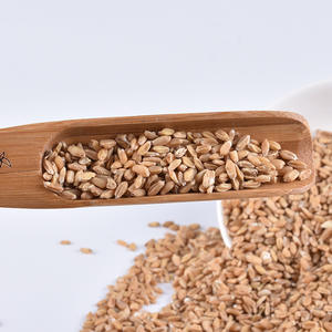 Venta al por Mayor de Fruta Fu <span class=keywords><strong>Xiao</strong></span> <span class=keywords><strong>Mai</strong></span>, Materiales Chinos de Alta Calidad, Variedad Fructus Tritici Levis Completa - Product Image 2