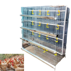 Jaula Automática para Cría de Pollitos con Cinta de Eliminación de Estiércol, Equipo Avícola Galvanizado - Product Image 4