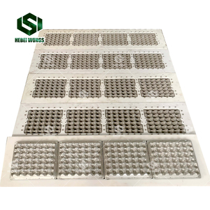 Wongs tùy chỉnh Bìa khay trứng Khuôn chuyên dụng nhôm ABS khuôn để sản xuất nắp khay trứng và nắp để hoàn thành - Product Image 4