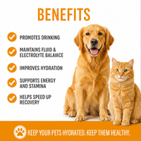 Poudre de supplément d'hydratation pour chiens sous marque privée, soutien électrolytique et de récupération, boisson énergétique aux acides aminés pour chiens actifs, OEM personnalisé