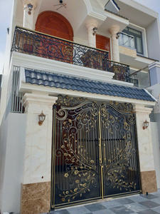 Puerta de hierro forjado con recubrimiento en polvo de lujo con soporte técnico profesional, forma de acero 50x80x4x10 - Product Image 6