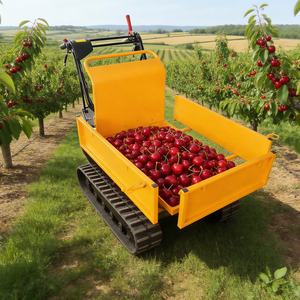 Mini-transporteur à chenilles, outil de jardin professionnel homologué CE, mini-benne à essence sur chenilles - Product Image 1