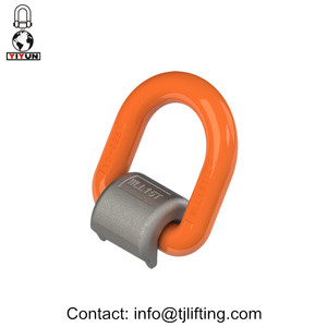 Thiết bị nâng công nghiệp Hàn D Vòng nâng <span class=keywords><strong>Lug</strong></span> 15t - Product Image 6