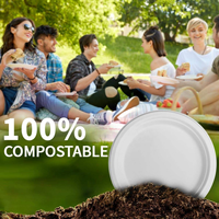 OEM Wegwerp Bagasse Voedselcontainers Biologisch afbreekbaar & composteerbaar Afhaallocaties Lunchboxen Magnetronbestendig PFAS-vrij