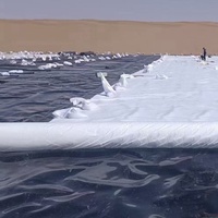 Géotextile tissé en polypropylène perméable PP 200 g/m² pour le contrôle de la boue, le renforcement routier et la stabilisation des sols meubles