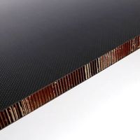 Panneau en nid d'abeille en aluminium et fibre de carbone ultraléger