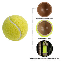 Balle de tennis de plage orange personnalisable pour enfants et débutants - Jouet pour animaux de compagnie durable, écologique et très élastique