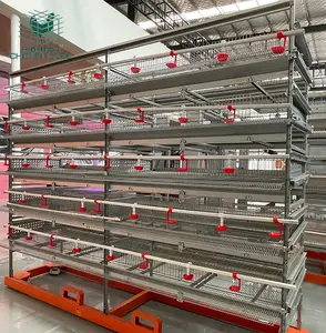 Gaiola automática da coleta de ovos, preço de fábrica, codorna da camada para equipamentos de fazenda de aves