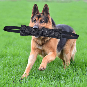 Cuerda Resistente para Juego de Tira y Afloja para Perros - Juguete Interactivo Duradero para Masticar, Morder y Jugar a Arrastrar para Razas Medianas/Grandes - Product Image 4