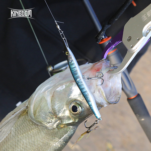 Leurre de pêche Kingdom Needle Fish, deux mouvements de nage, leurre artificiel coulant, stickbaits, leurre de pêche pour brochet - Product Image 6