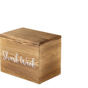 Boîte de rangement en bois avec couvercle, rectangulaire, couleur unie, pour la décoration de la salle de bain et les capsules de lessive - Product Image 1