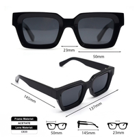 Lunettes de soleil vintage bleues et transparentes en gros avec verres polarisés optiques – Dernières tendances mode
