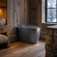 WC intelligent gris mat monobloc allongé sans réservoir avec bidet à chasse automatique, siège chauffant et écran LED pour salle de bain