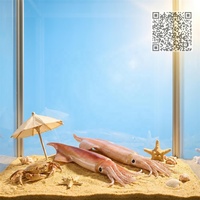 Modelo de Calamar de Alta Fidelidad, Simulación de Mariscos Artificiales de Grado Comercial para Visual Merchandising y Accesorios de Marketing en Video