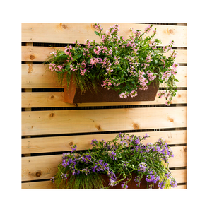 Plantador de la pared colgante cono de Metal suculentas - Product Image 6