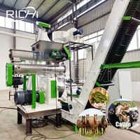 Mesin Pelet RICHI 1 untuk Jam Kerja - Lini Pakan Ternak - Pengolah Pakan Kuda Sapi - Buat Pakan Kuda Rendah Pati Sendiri