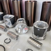 Kit de révision moteur C6.6, jeu complet de joints, segments de piston, roulements et joints d'étanchéité pour excavatrice Perkins 1106D et engins de construction E320D