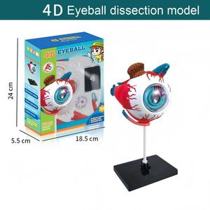 Modelo de Órganos Humanos Educativo para Niños XR, Juguete de Ciencia y Tecnología, Ensamblaje DIY, Cognición Temprana, STEAM, Juguete Médico Interno - Product Image 6